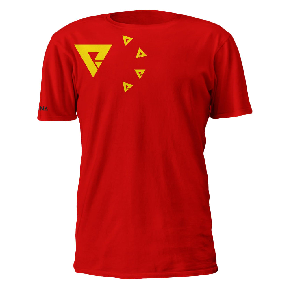 Chinese Logo Flag Tee - We Are Nations
